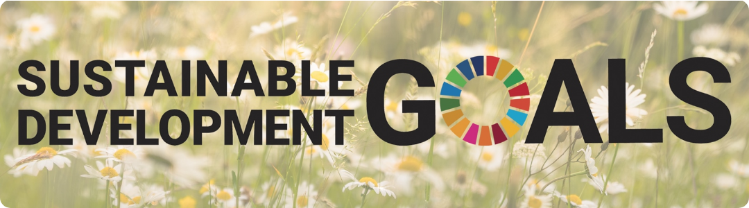 United Nations Sustainable Development Goals